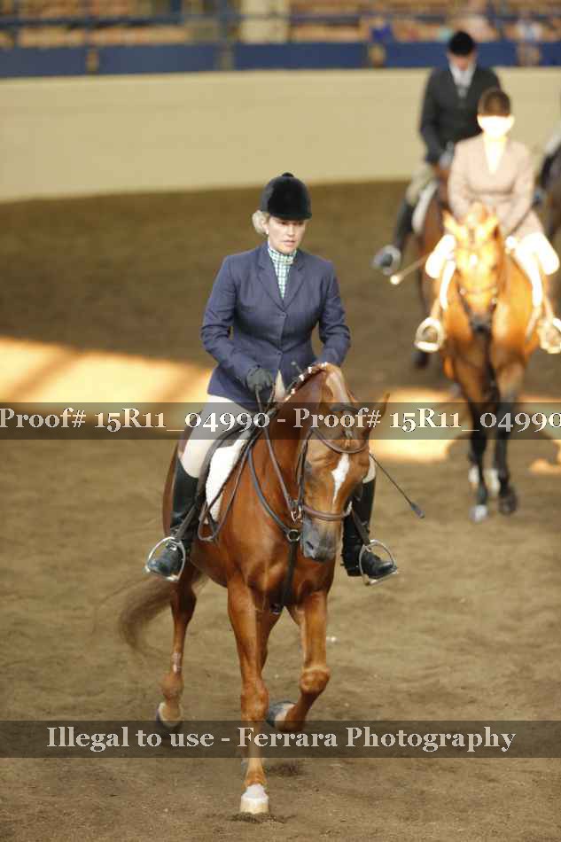 Proof 15R11_04990