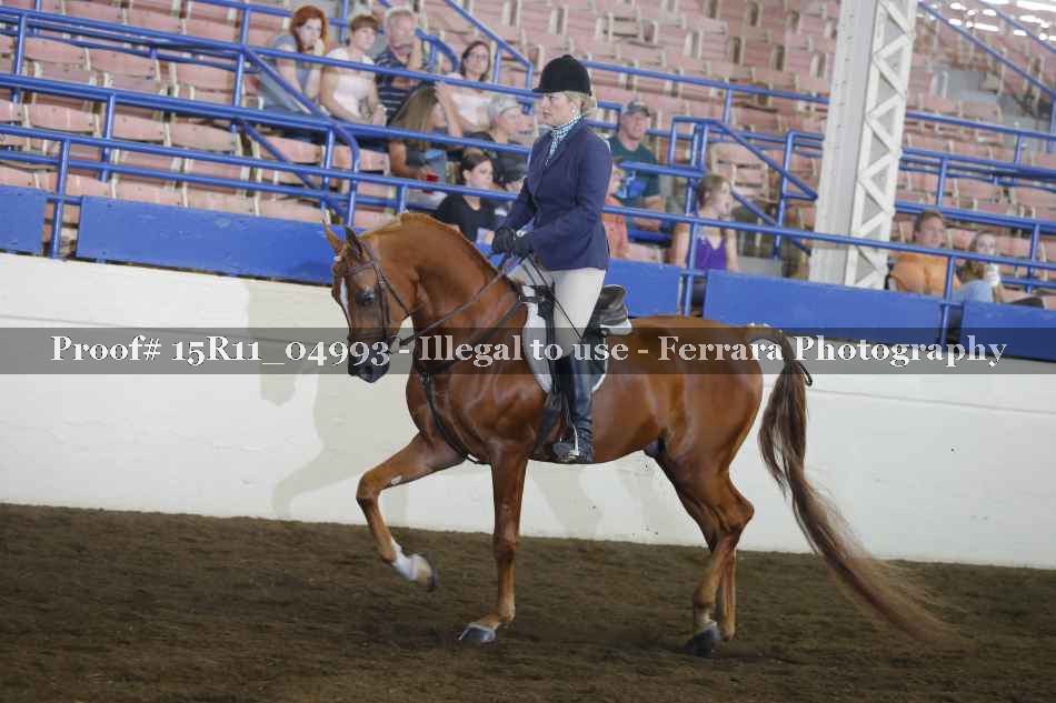 Proof 15R11_04993