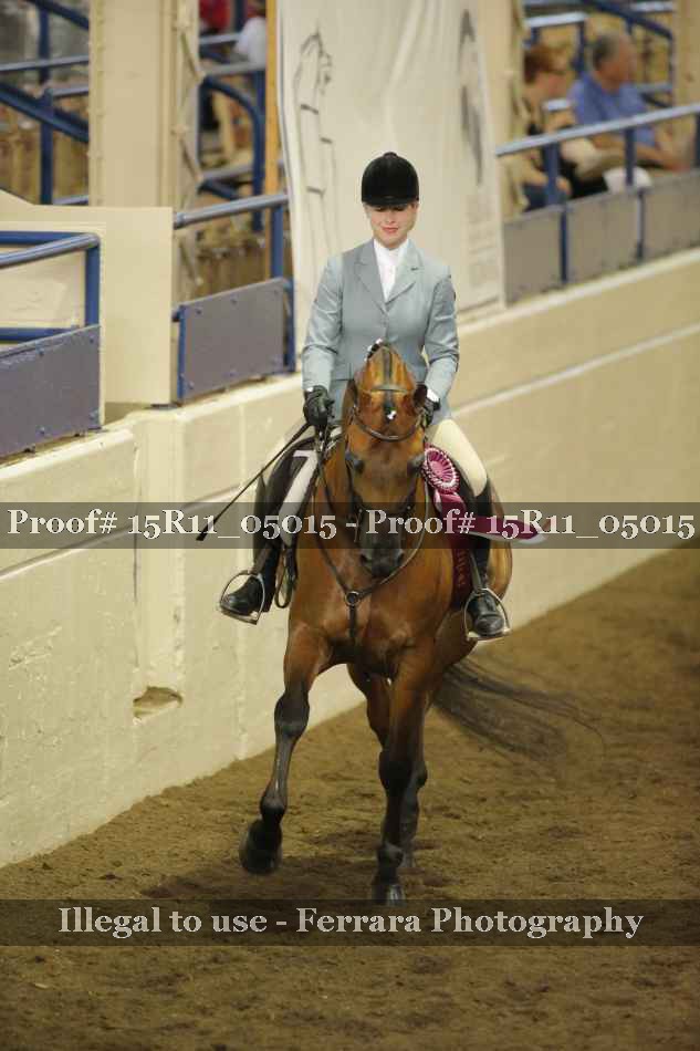Proof 15R11_05015