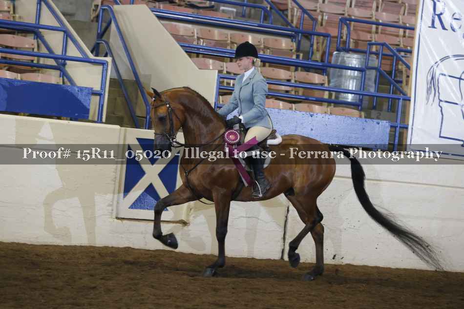Proof 15R11_05020