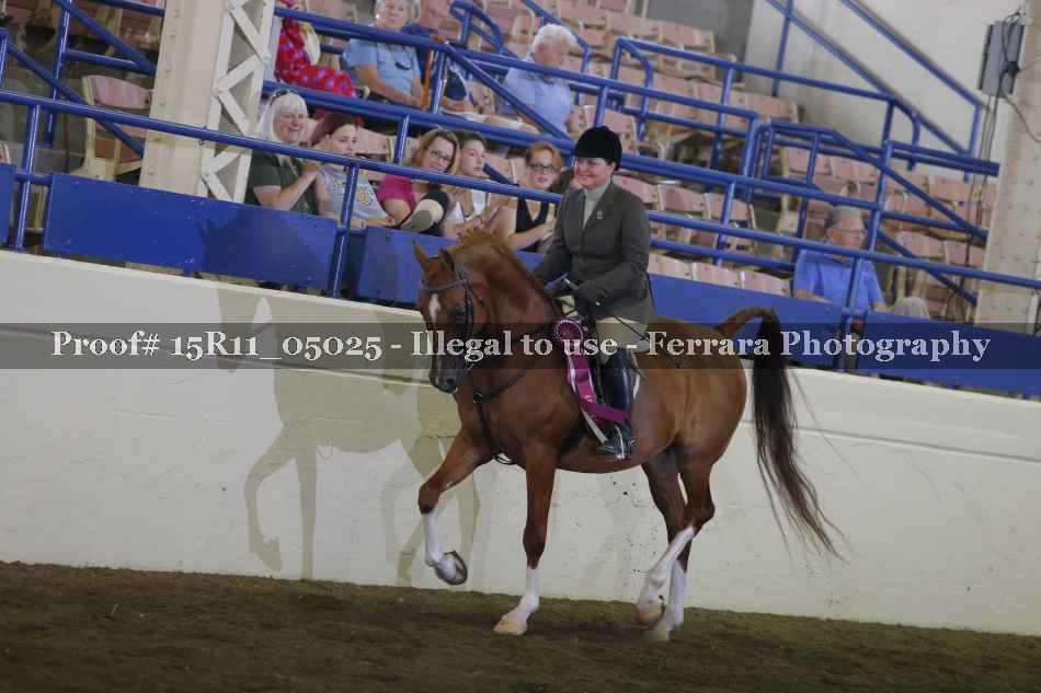 Proof 15R11_05025