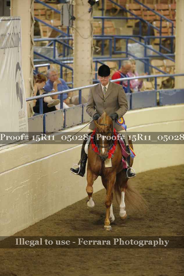 Proof 15R11_05028