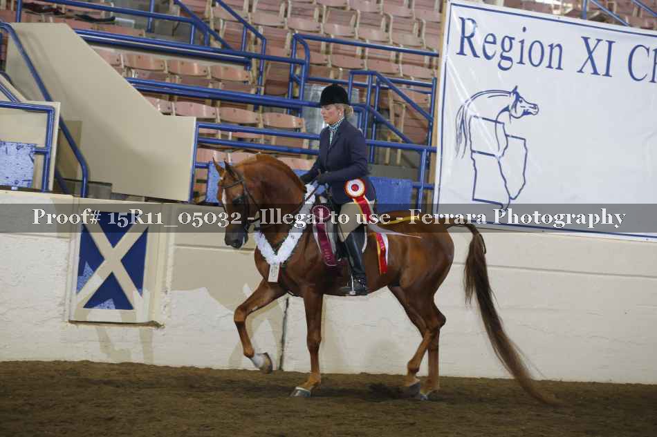 Proof 15R11_05032