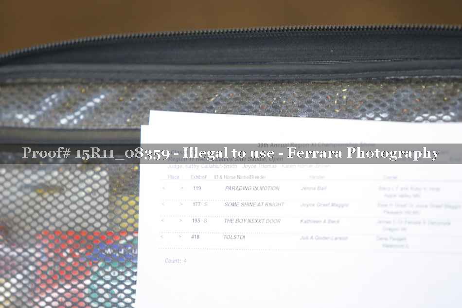 Proof 15R11_08359