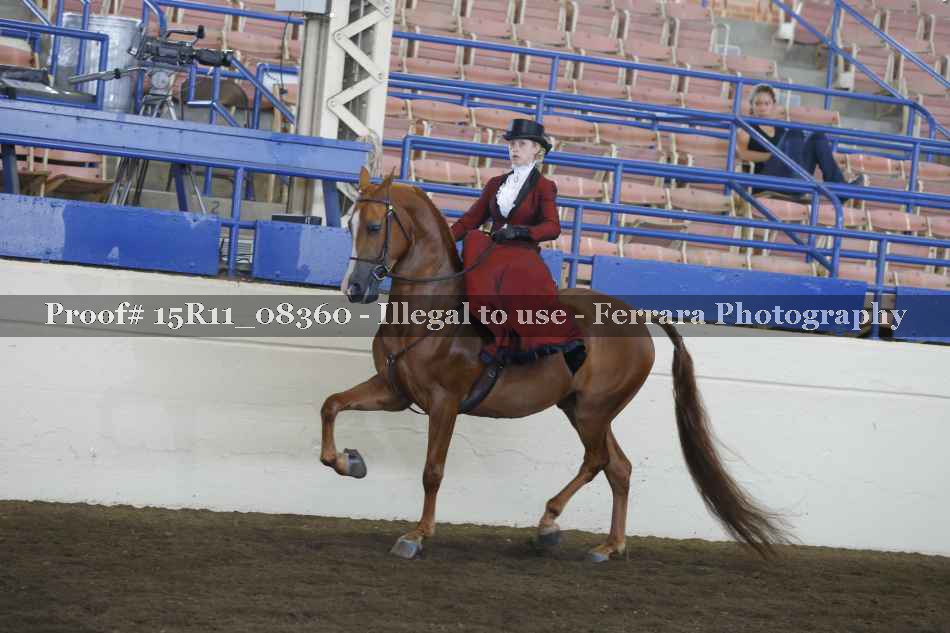 Proof 15R11_08360