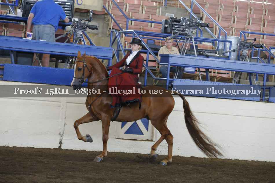 Proof 15R11_08361