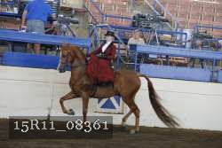 15R11_08361 proof