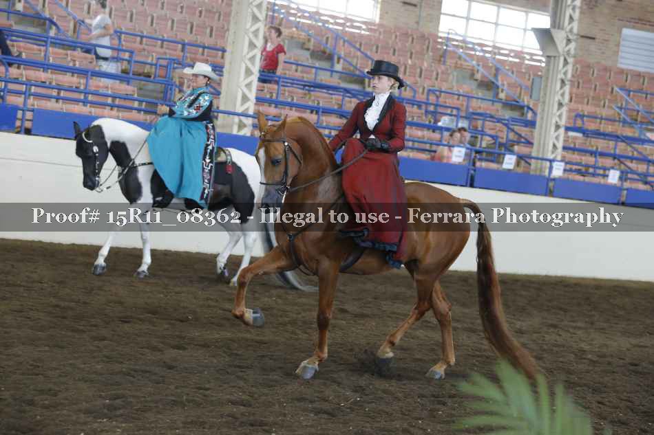 Proof 15R11_08362