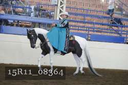 15R11_08364 proof