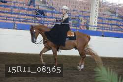 15R11_08365 proof