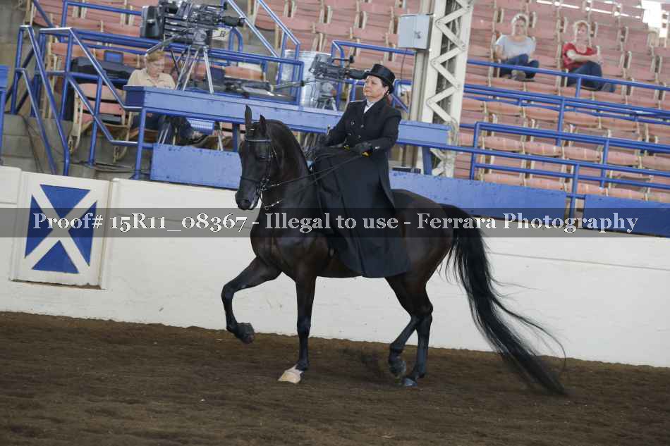 Proof 15R11_08367