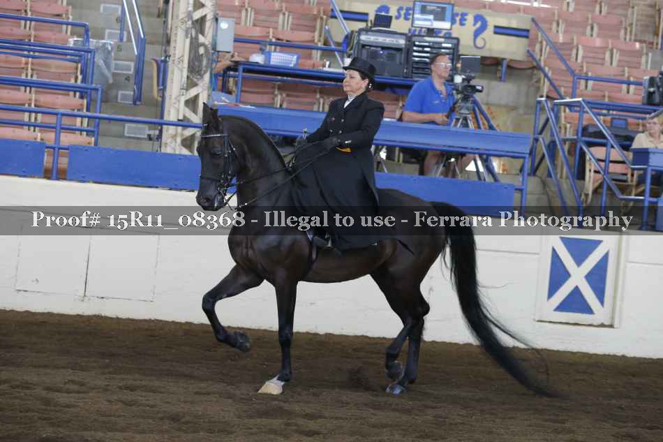 Proof 15R11_08368