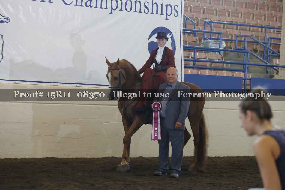 Proof 15R11_08370