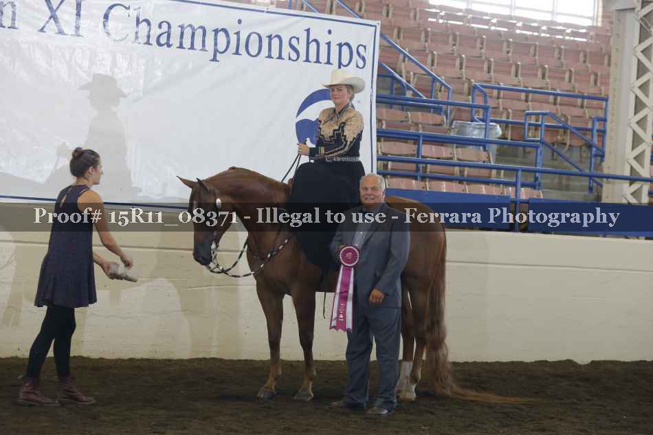 Proof 15R11_08371