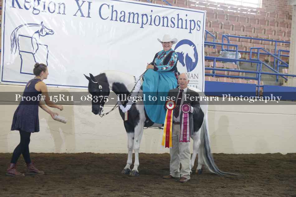 Proof 15R11_08375