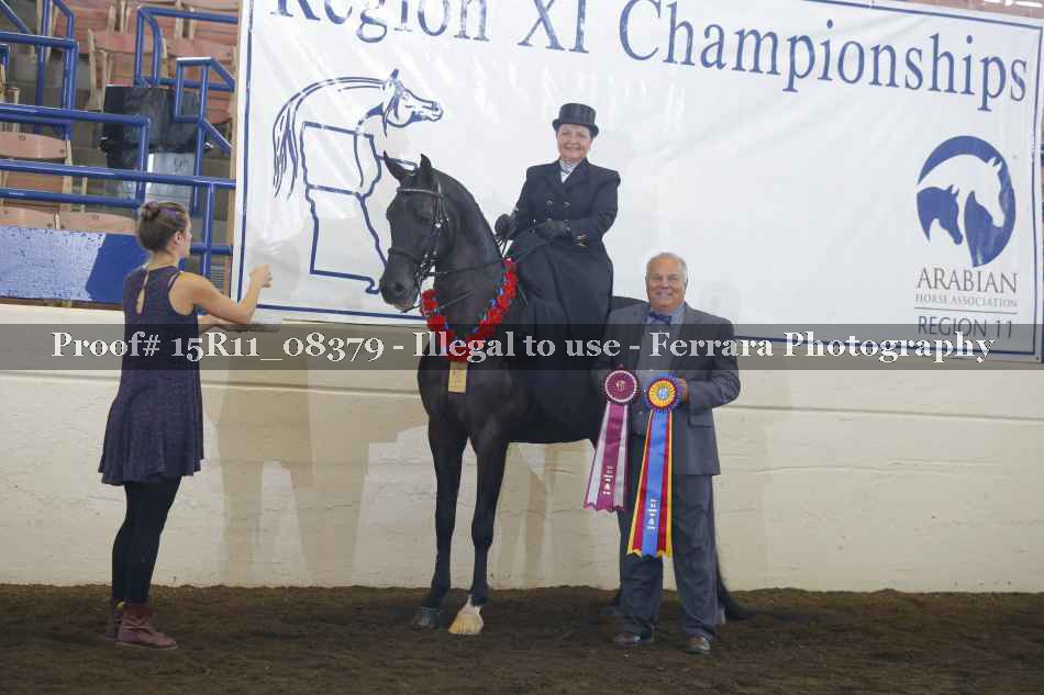 Proof 15R11_08379