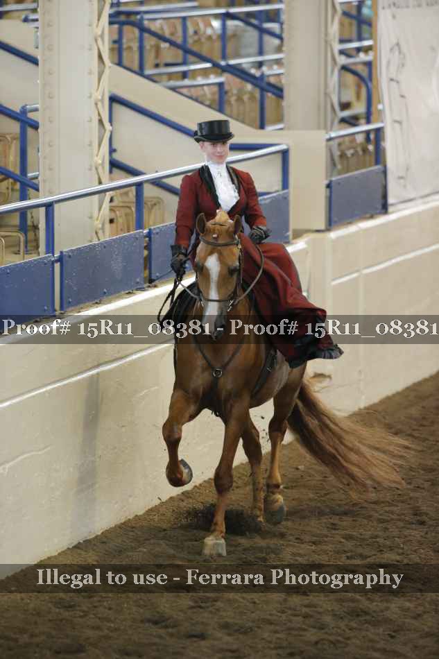 Proof 15R11_08381