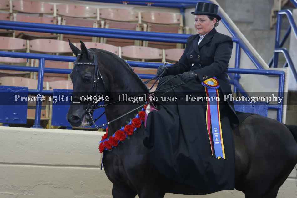 Proof 15R11_08382