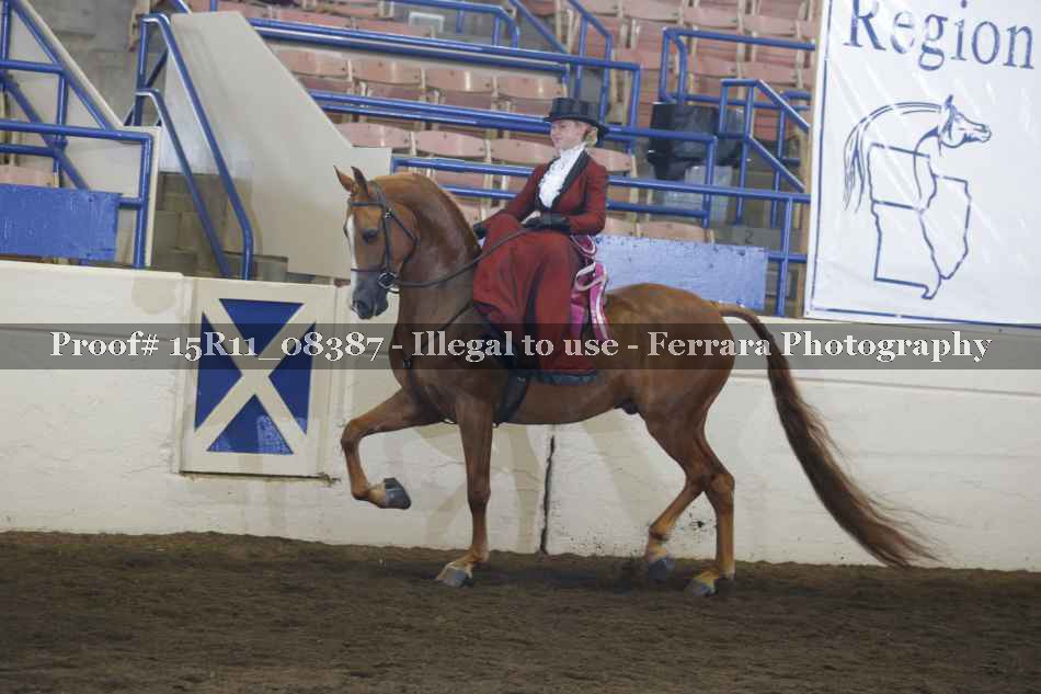 Proof 15R11_08387