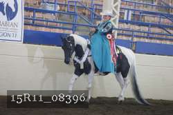 15R11_08396 proof