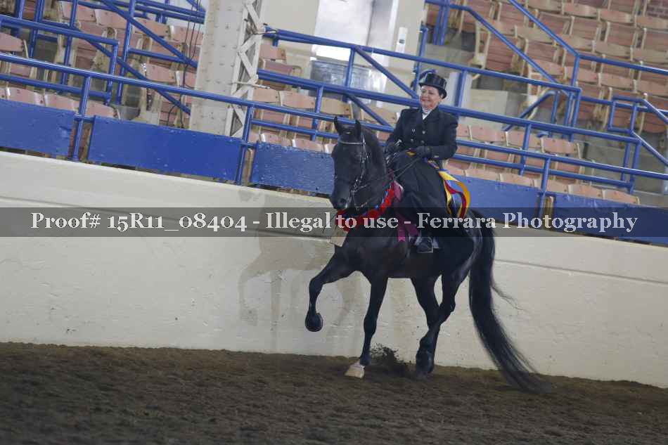 Proof 15R11_08404