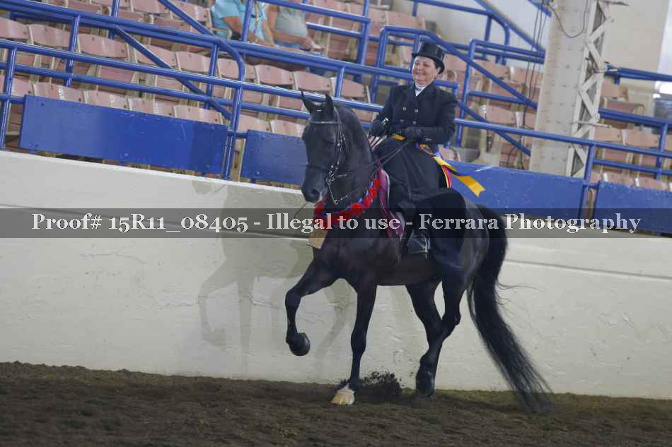 Proof 15R11_08405