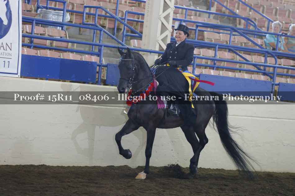 Proof 15R11_08406