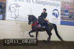 15R11_08407 proof