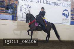 15R11_08408 proof