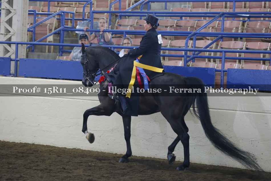 Proof 15R11_08409