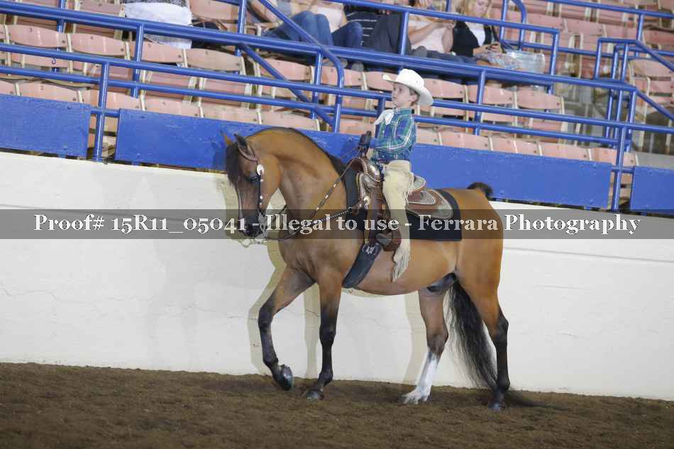 Proof 15R11_05041