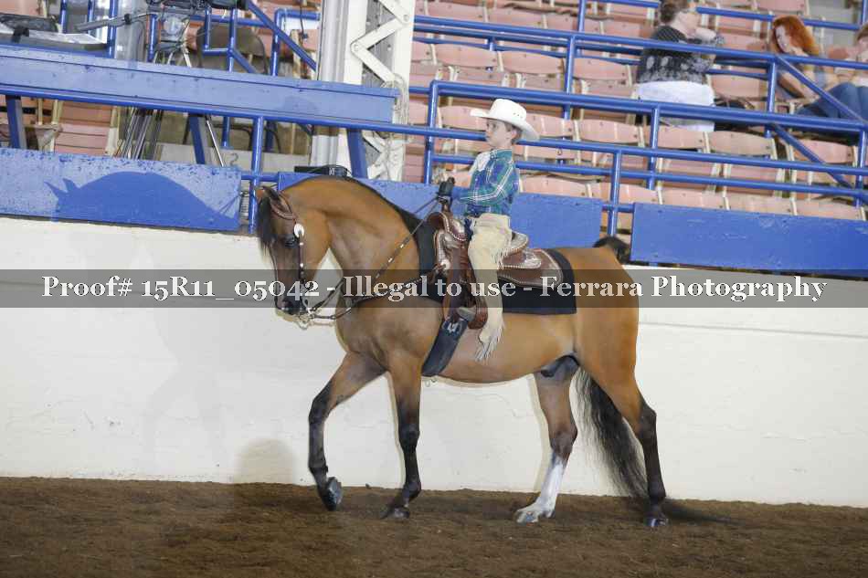 Proof 15R11_05042