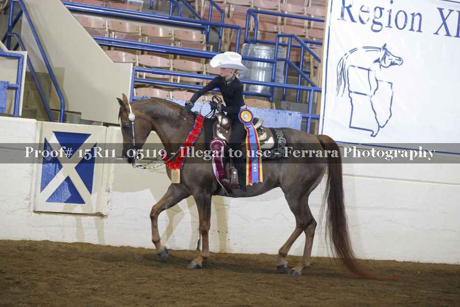 Proof 15R11_05119