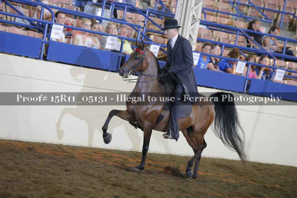 Proof 15R11_05131