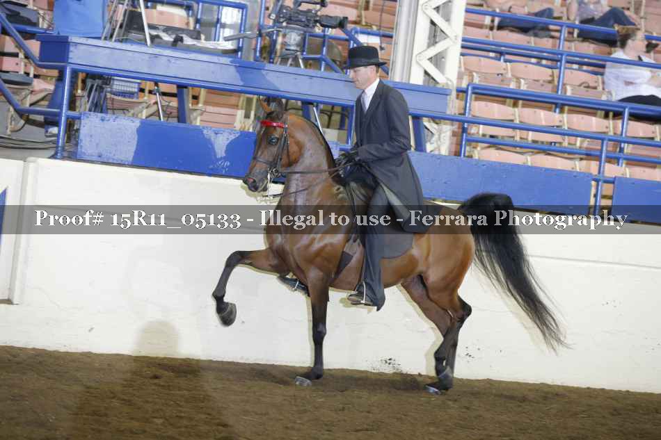 Proof 15R11_05133