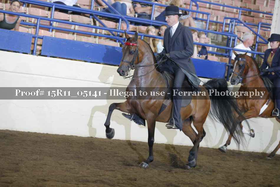Proof 15R11_05141