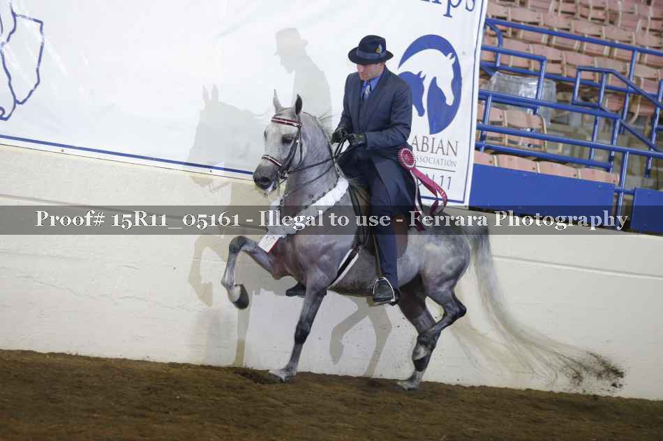 Proof 15R11_05161