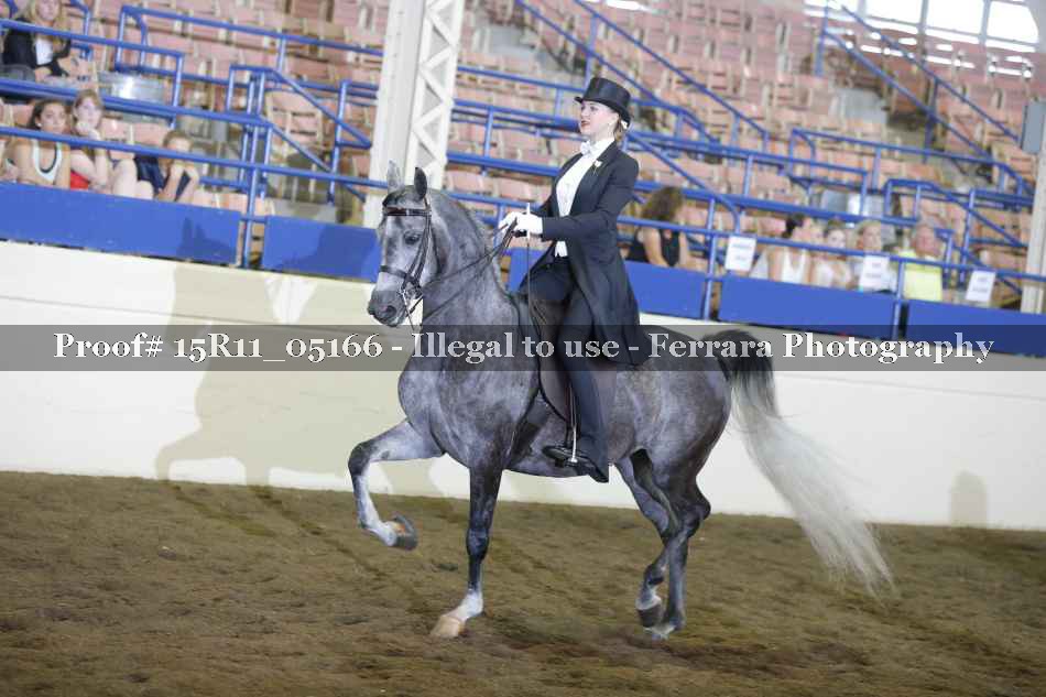 Proof 15R11_05166