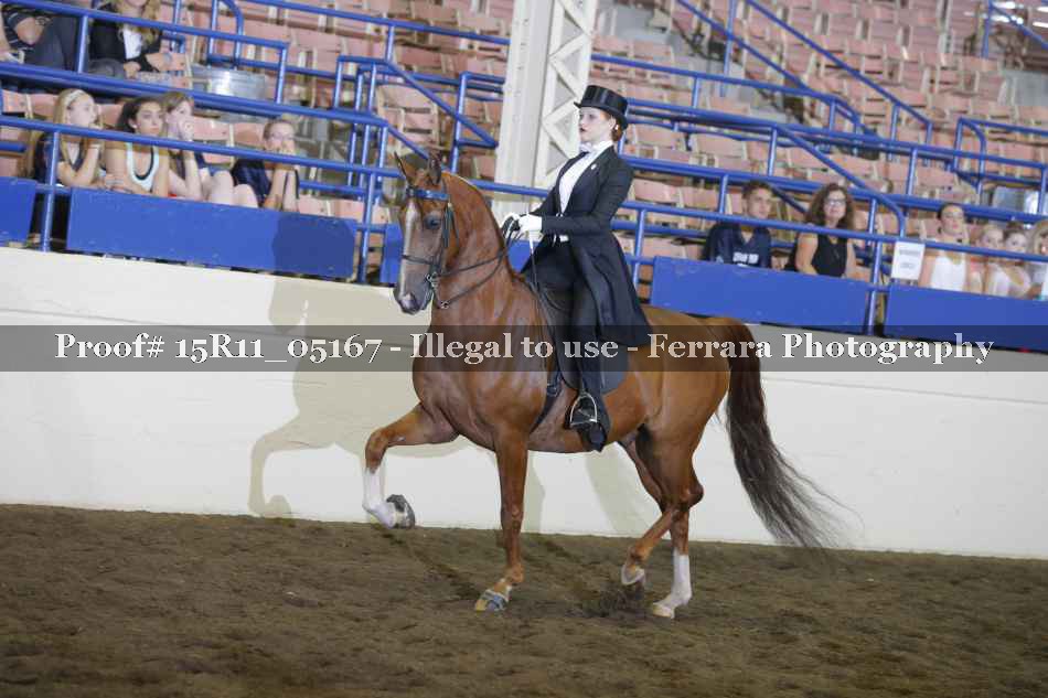 Proof 15R11_05167