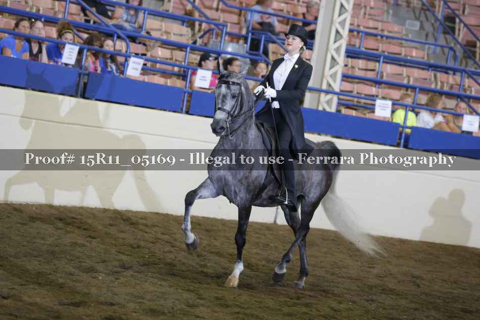 Proof 15R11_05169