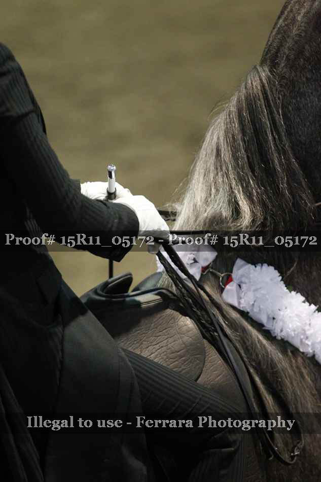 Proof 15R11_05172