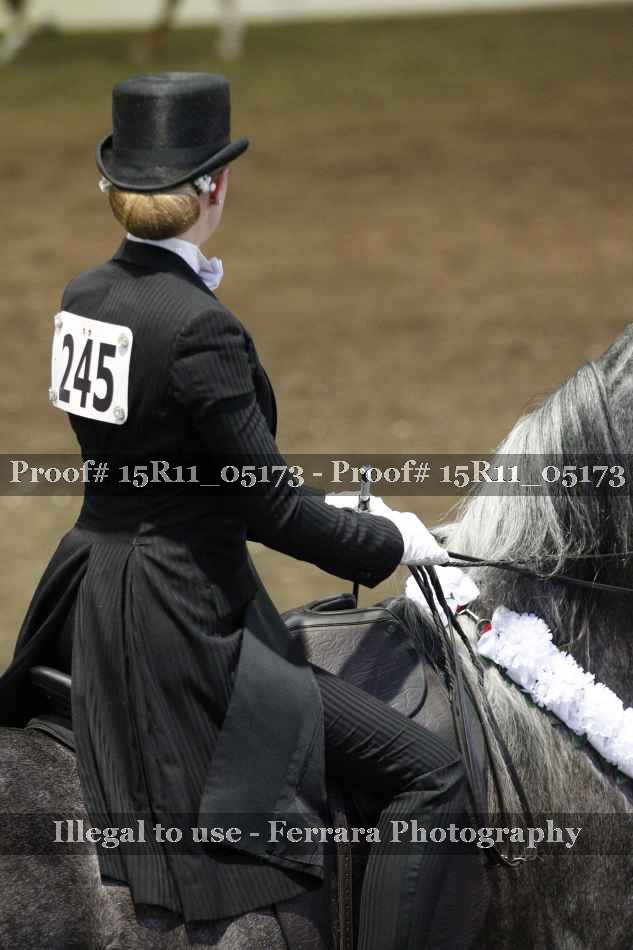 Proof 15R11_05173
