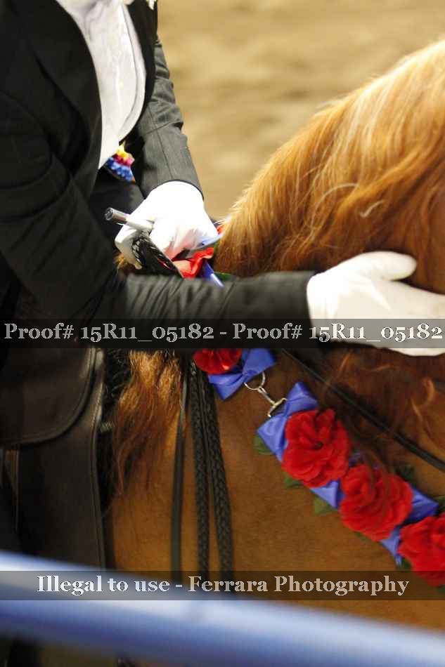 Proof 15R11_05182