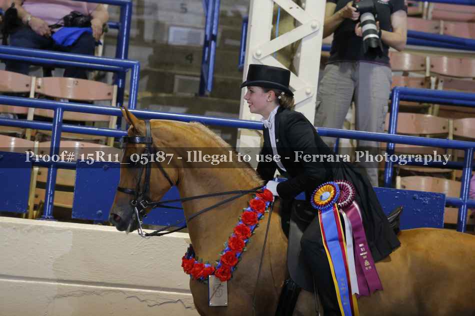 Proof 15R11_05187