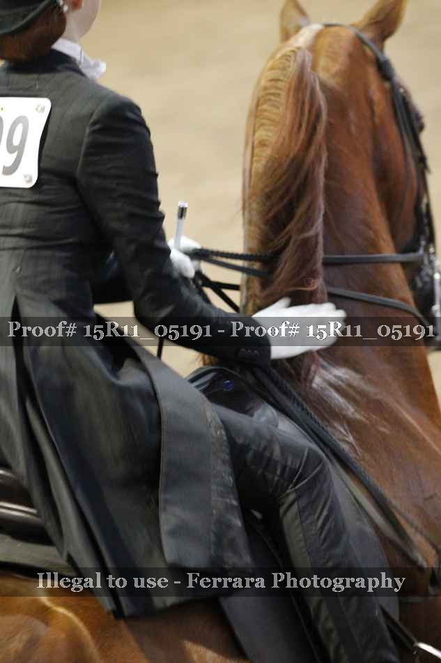 Proof 15R11_05191