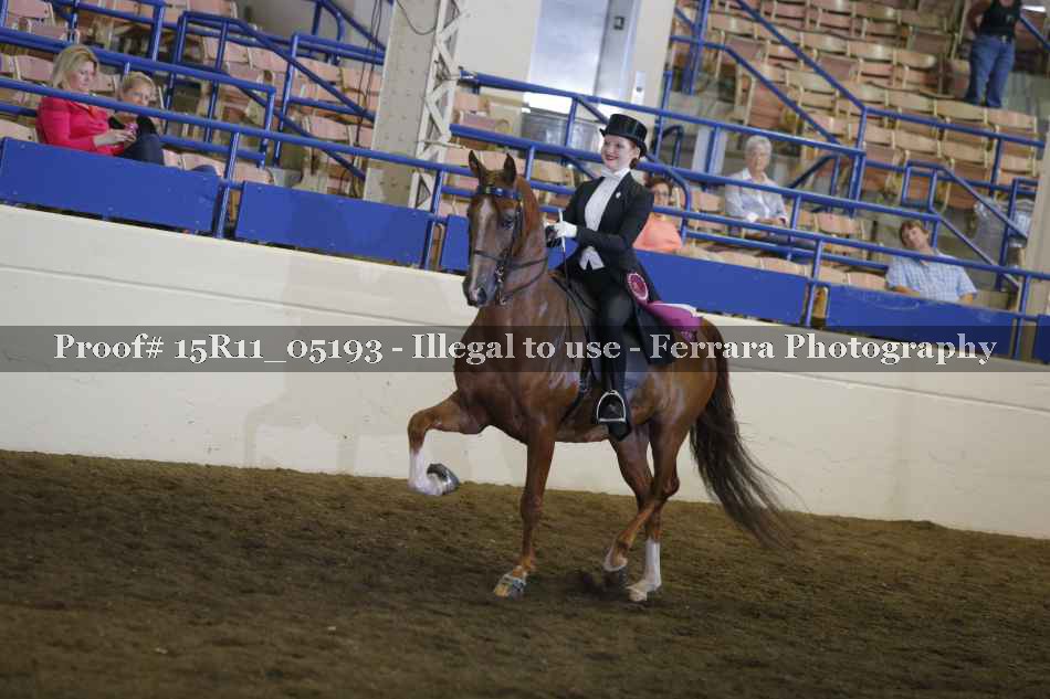 Proof 15R11_05193