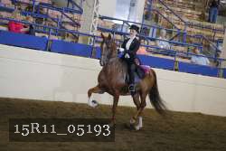 15R11_05193 proof