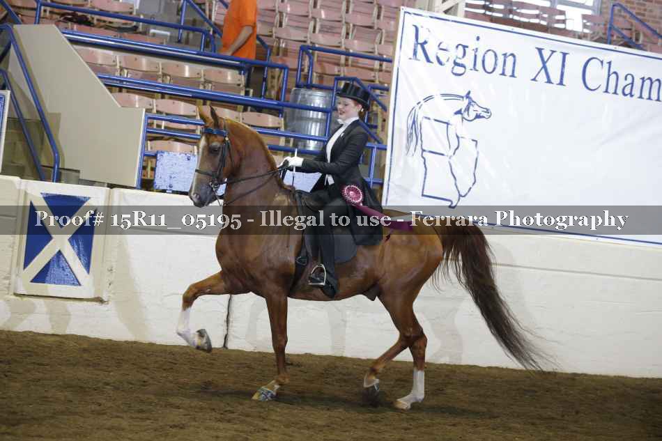 Proof 15R11_05195