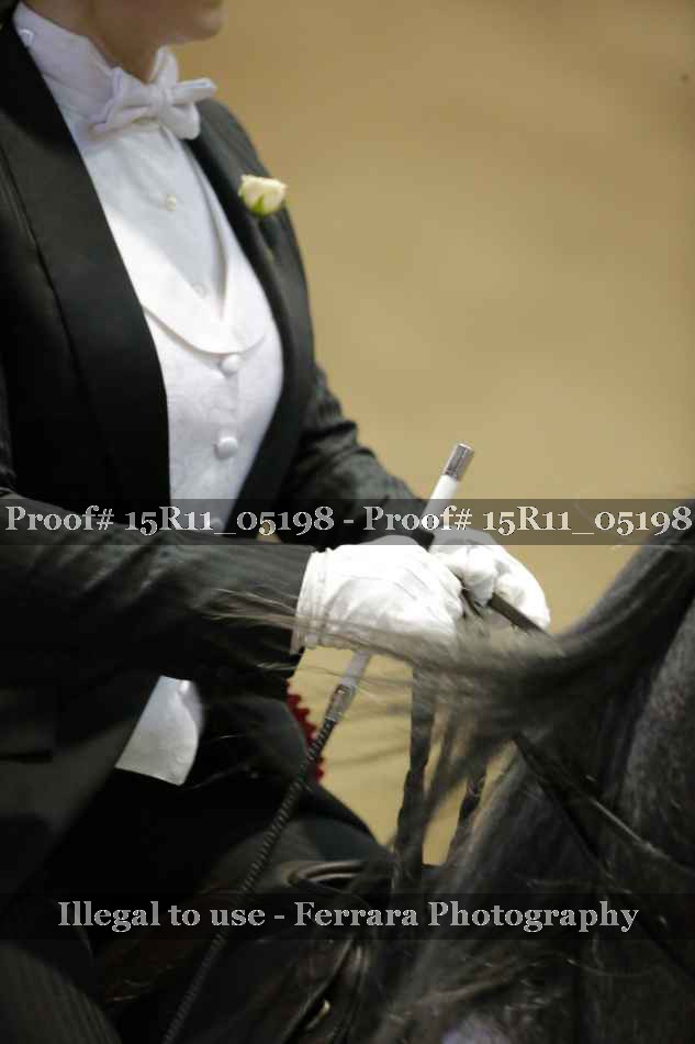 Proof 15R11_05198