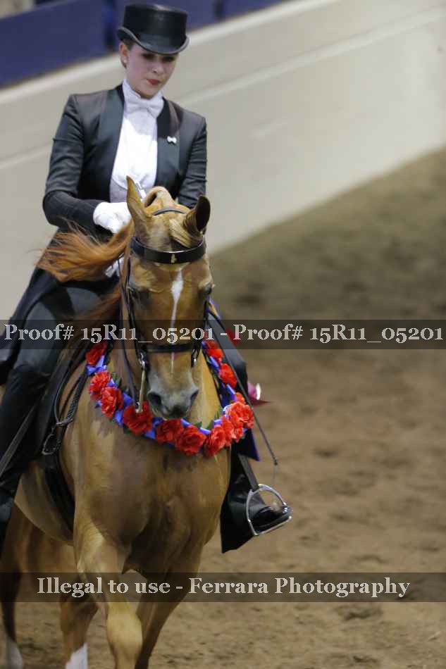 Proof 15R11_05201